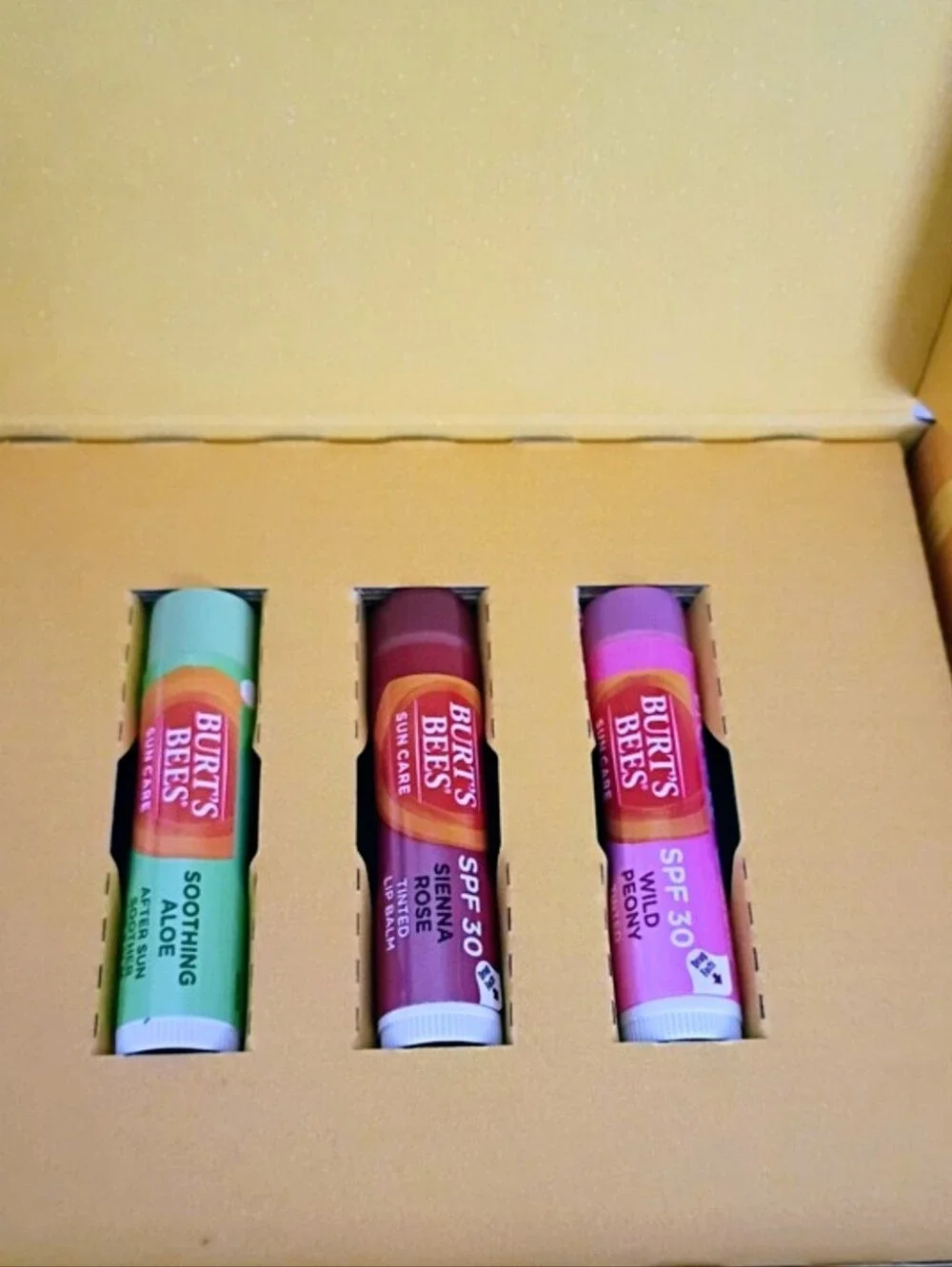 Burt's Bees Moisturizing Lip Balm